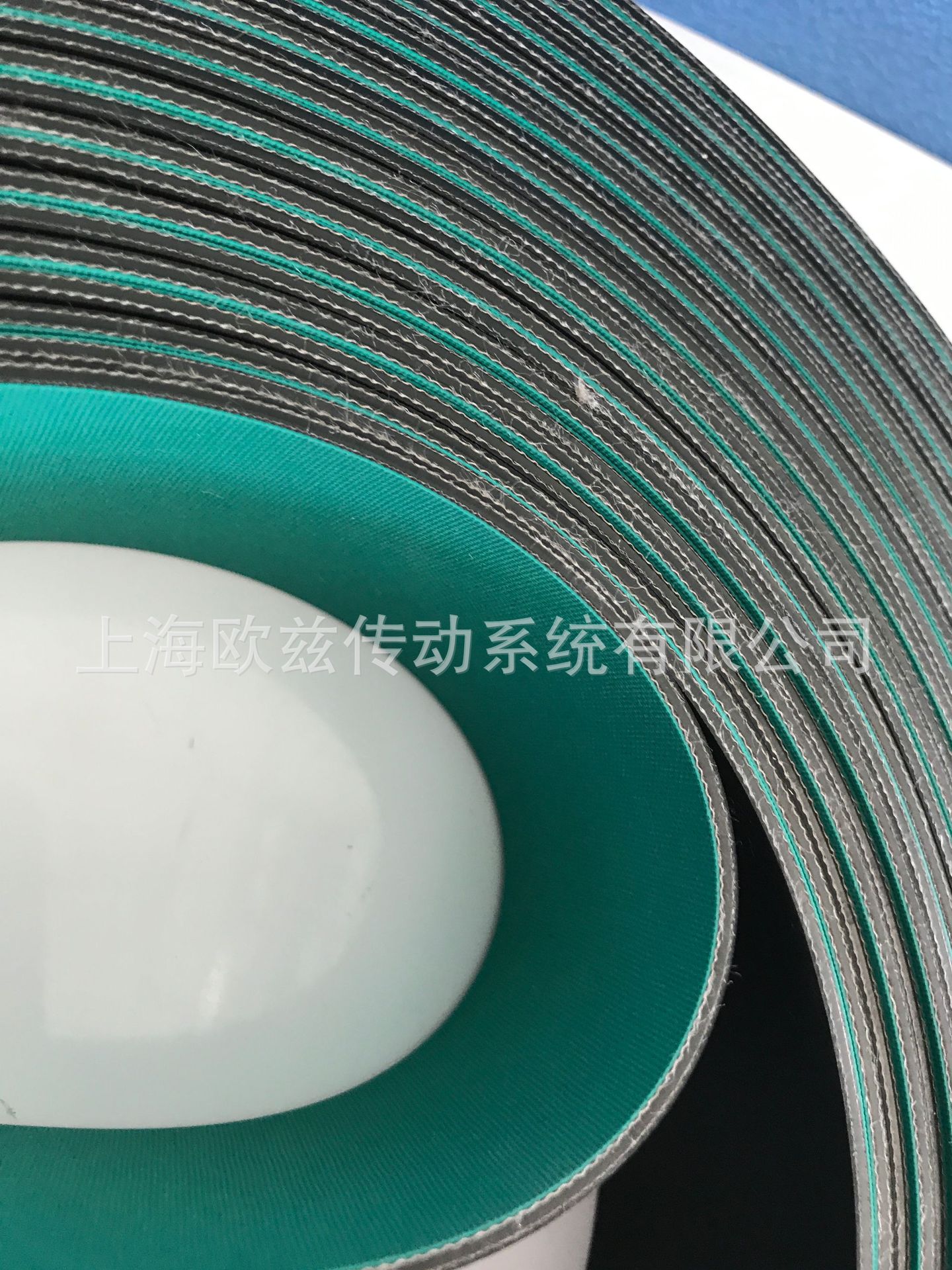 西格林SIEGLING GG/T 20P/25 NSTR/FSTR GREEN/BLACK(圖3)