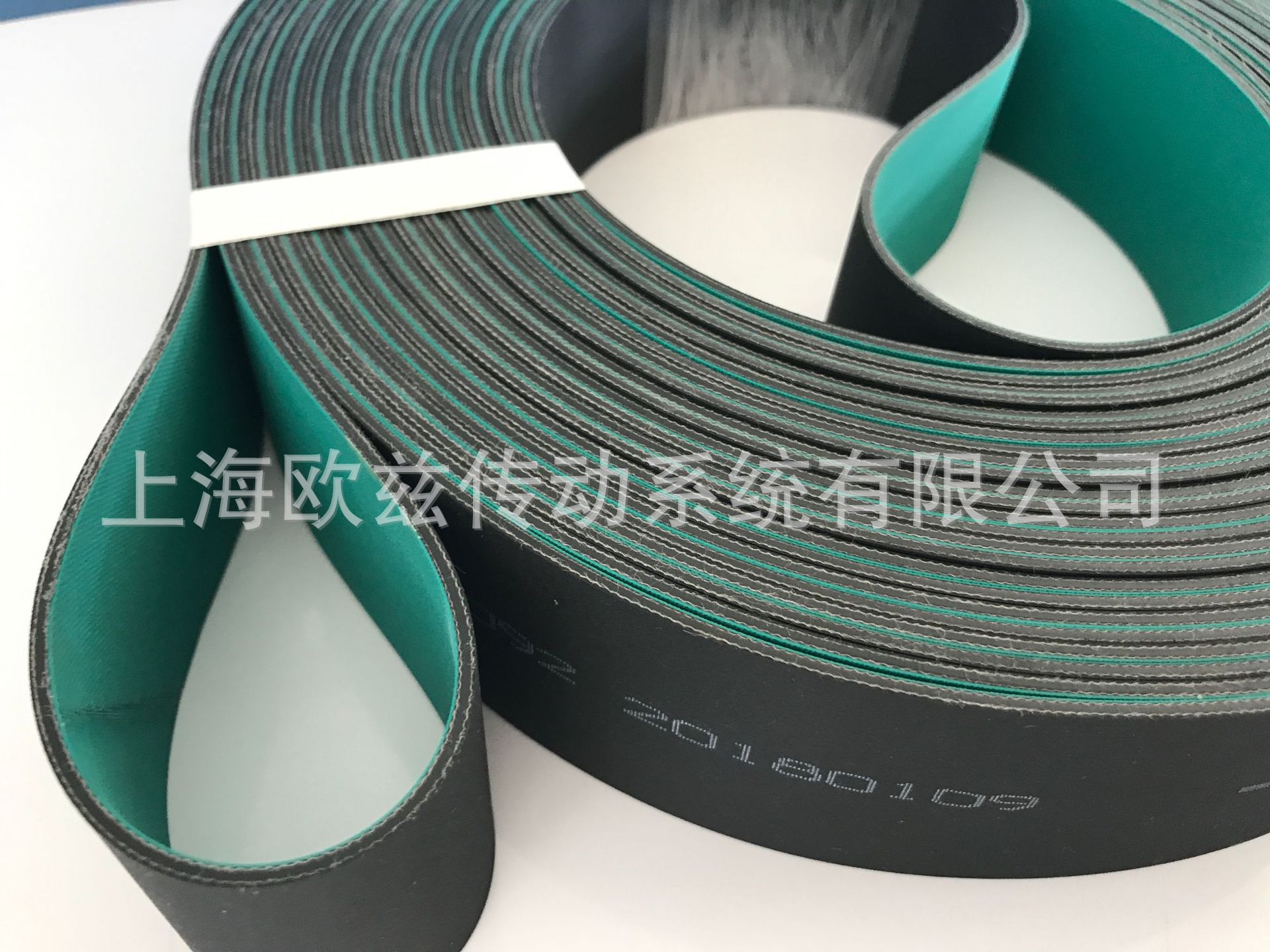 西格林SIEGLING GG/T 20P/25 NSTR/FSTR GREEN/BLACK(圖4)