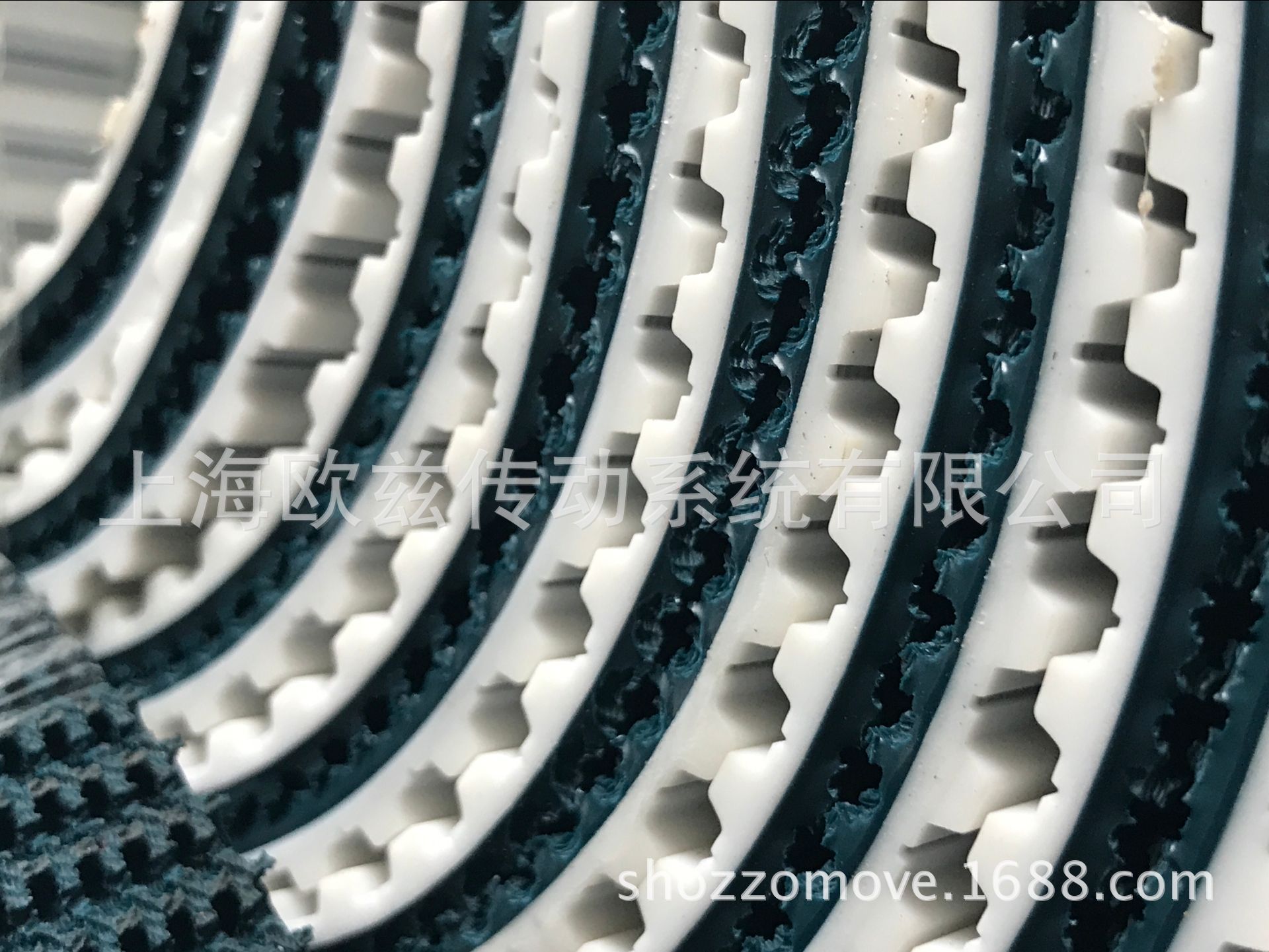 德國FORBO-SIEGLING西格林-T10草紋同步帶