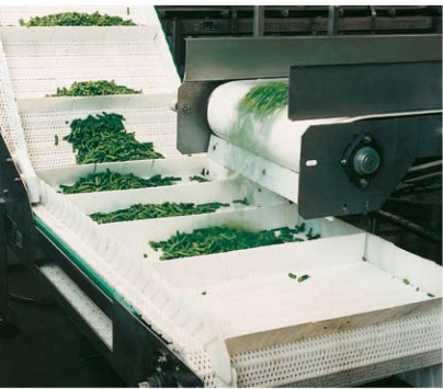 果蔬加工業(yè)(圖2)